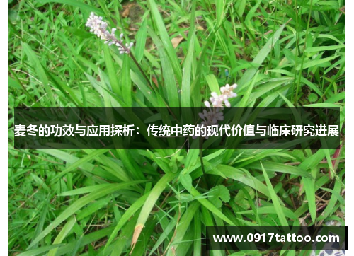 麦冬的功效与应用探析：传统中药的现代价值与临床研究进展